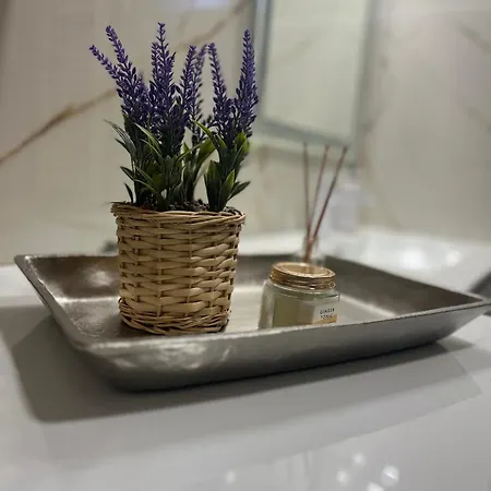 Tomin Sokak Charming And Cozy App Apartment Belgrade Exterior photo
