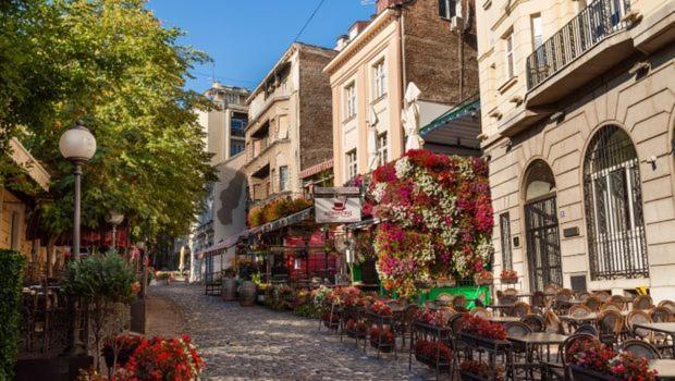 Tomin Sokak Charming And Cozy App